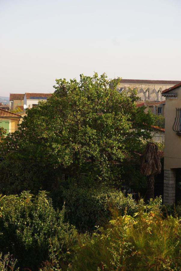 Les Coronilles Bed & Breakfast Saint-Maximin-la-Sainte-Baume Exterior photo